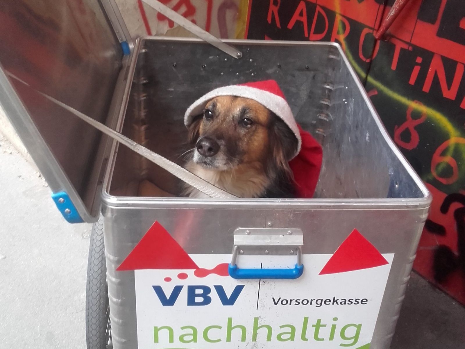 Öffnungszeiten nach Weihnachten